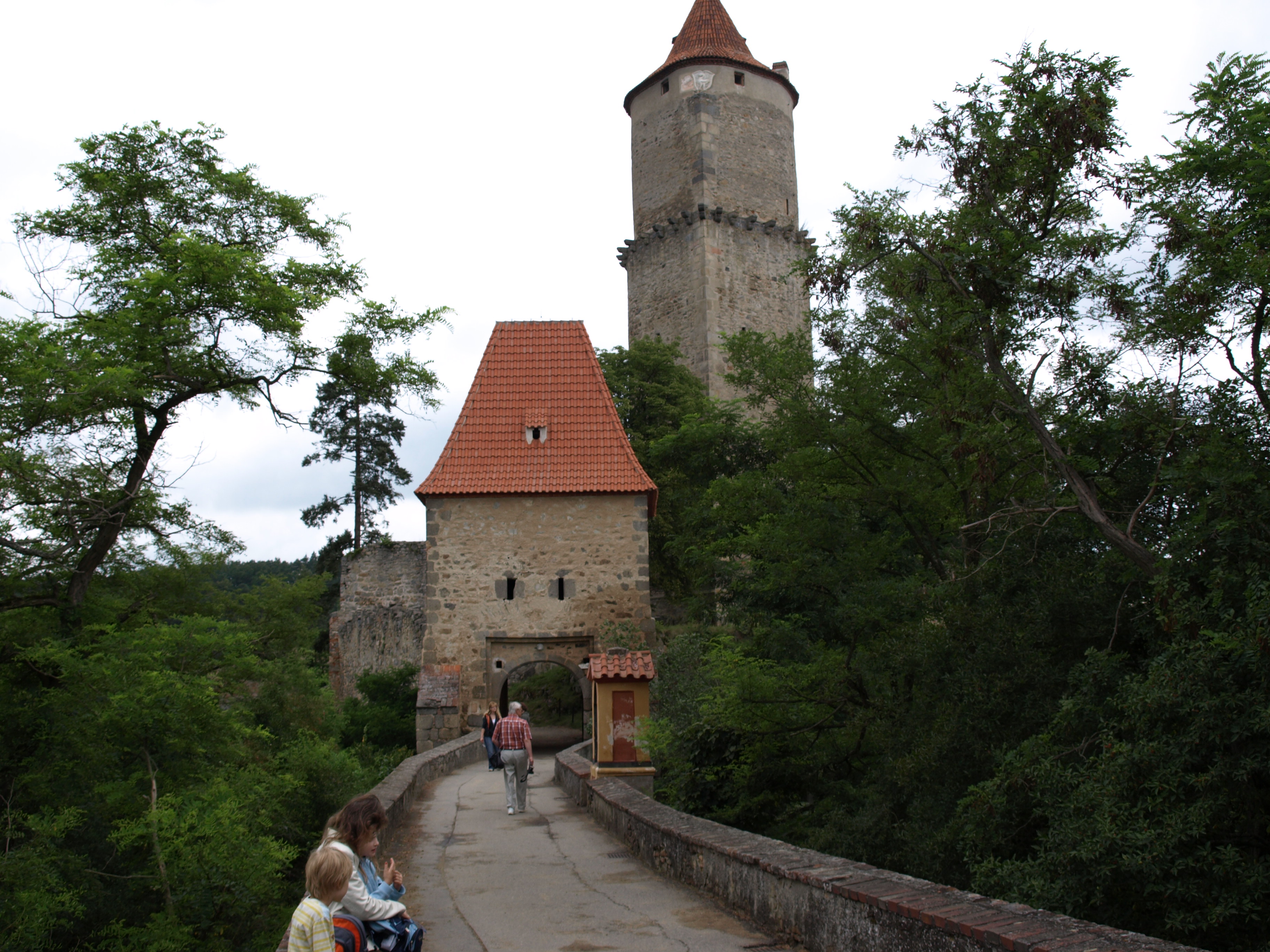 Zvíkov